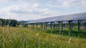 Agri-PV bei Trockenheit